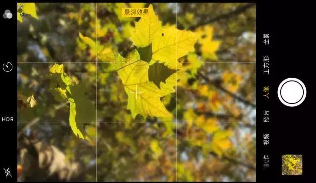手机拍摄秋叶的4大方法 手机拍照技巧